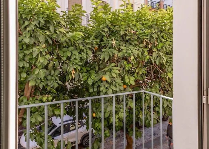 Apartment Isg Palacios Malaver 23 *